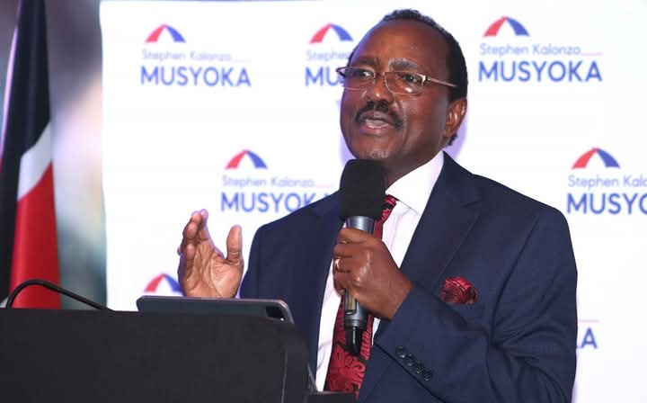 Kalonzo Urges International Community to Monitor IEBC Reconstitution, Demands Opposition Involvement