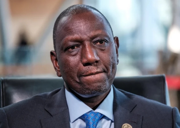 Lawyer Seeks Court Intervention to Halt Appointment of More Presidential Advisors