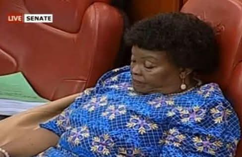 Machakos Senator Agnes Kavindu Under Fire for Sleeping on the Job, Shifting Blame to Governor