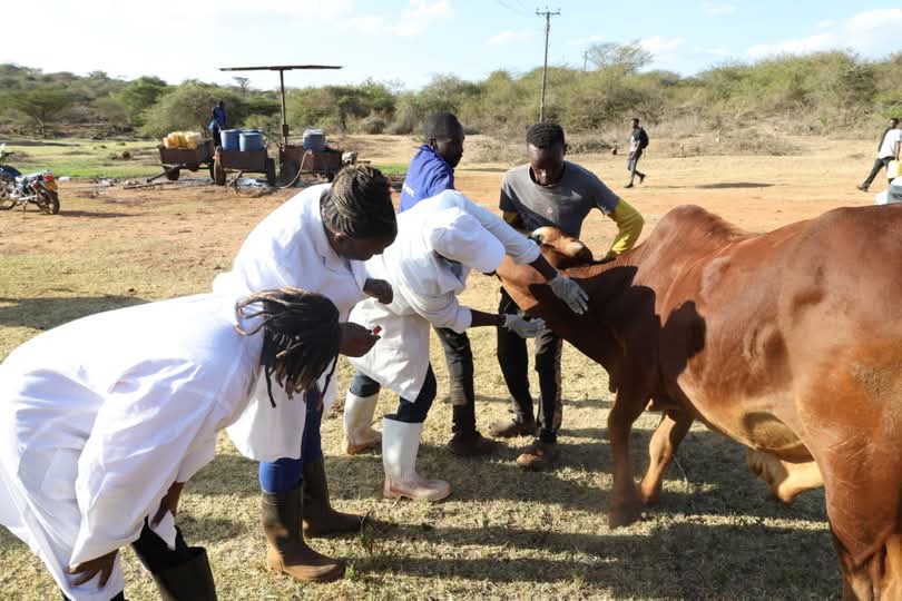 Governor Wavinya Ndeti Completes Landmark FMD Surveillance in All 40 Wards to Boost Farmers’ Incomes