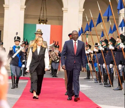 Ruto Urges Kenyans Abroad to Verify News, Warns Against Social Media Misinformation