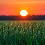 A Beacon of Hope for Mwingi Central: The Rise of a God-Chosen Saviour for 2027