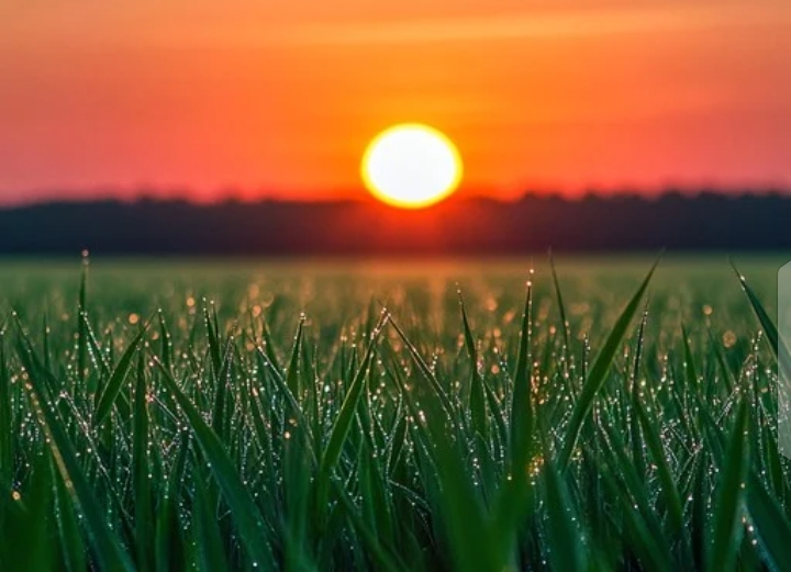 A Beacon of Hope for Mwingi Central: The Rise of a God-Chosen Saviour for 2027