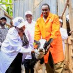 Governor Wavinya Ndeti Launches Major Livestock Vaccination and Artificial Insemination Drive in Kathiani.