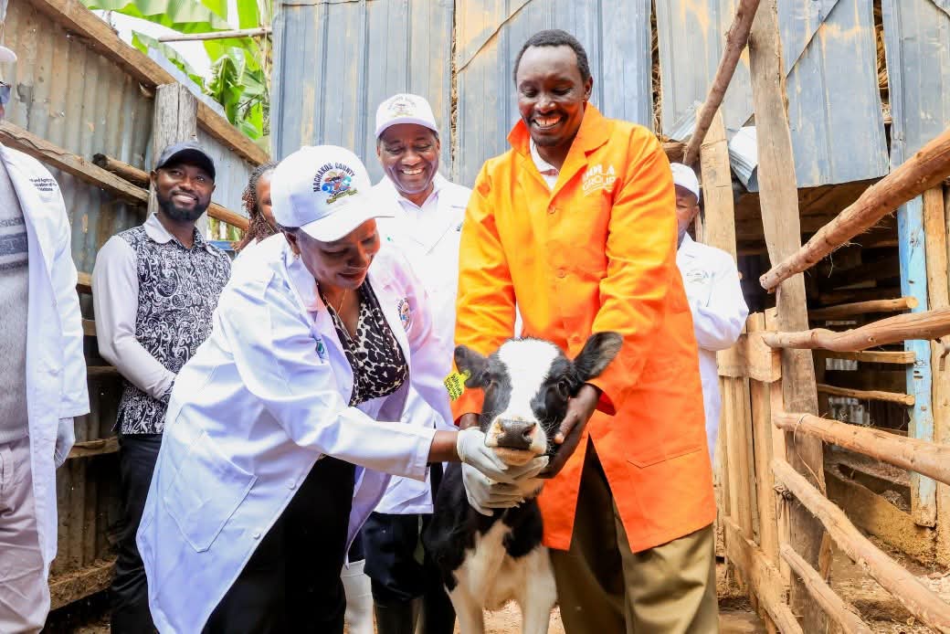 Governor Wavinya Ndeti Launches Major Livestock Vaccination and Artificial Insemination Drive in Kathiani.