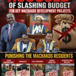 Speaker-Aligned MCAs Accused of Slashing Budget for Key Machakos Development Projects.
