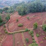 Governor Wavinya Ndeti Advances Rural Roads to Boost Agriculture and Local Economy.