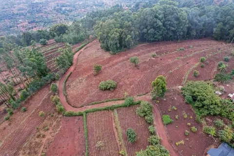Governor Wavinya Ndeti Advances Rural Roads to Boost Agriculture and Local Economy.